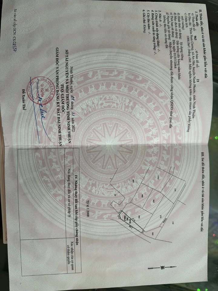 Đất nền Nam Cương, Ninh Phước 3600m² giá 350 triệu - Đầu tư sinh lời ngay!