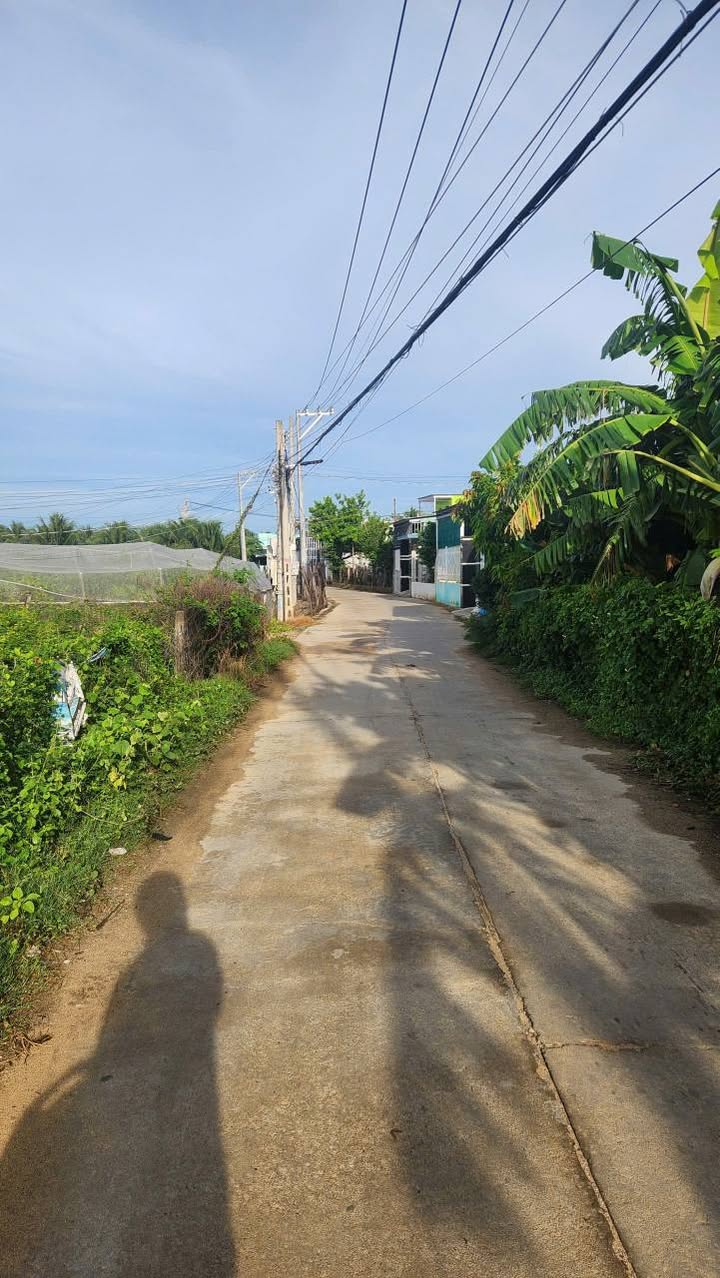 Đất vườn Lô góc 2 mặt tiền Văn Hải 99m² giá 390 triệu - Cơ hội đầu tư tuyệt vời!