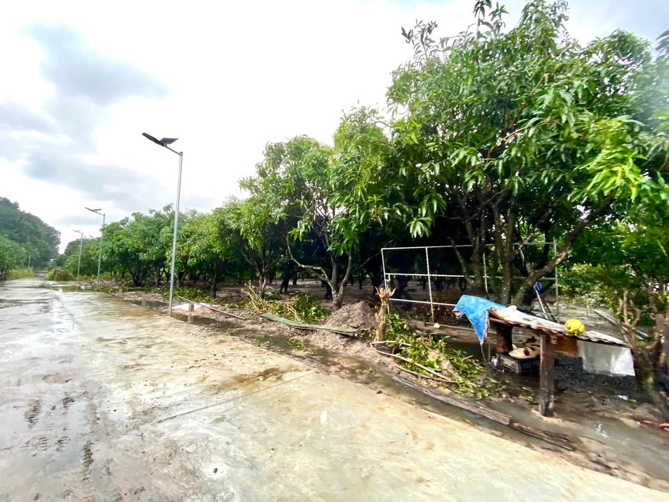 Đất nền Thôn Vĩnh Phú, Suối Tân 228m² giá 1.472 tỷ - Không dính quy hoạch!