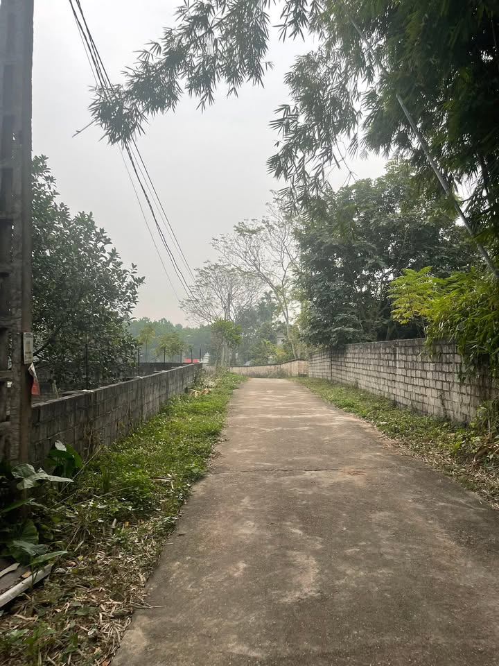 Đất nền Thịnh Đức Thái Nguyên 3387m² giá 5 tỷ - Phù hợp làm nhà xưởng!