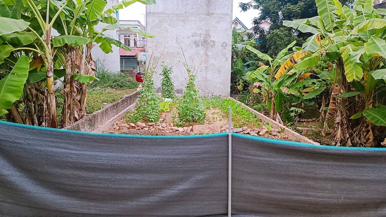 Đất nền Quang Tiến, Sóc Sơn 60m² giá 2.4 tỷ - Nở hậu hút tài lộc!