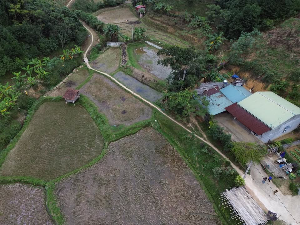 Đất thổ cư 1500m² tại phường Đức Xuân giá 1 tỷ - Chính chủ bán gấp!