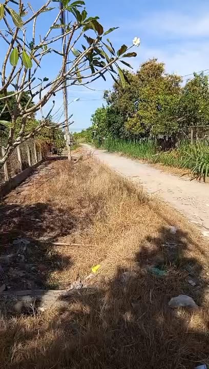 Đất nền Hòa Thành 170m² giá 399 triệu - Cơ hội đầu tư hấp dẫn!