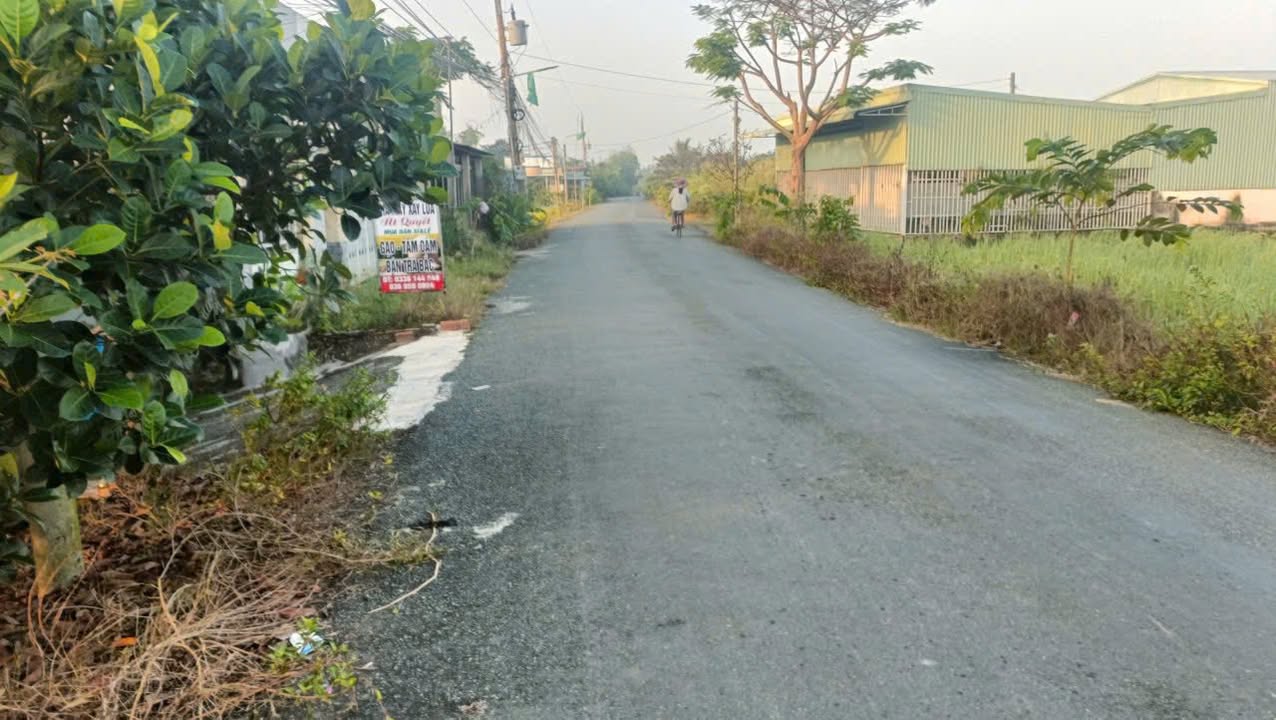 Đất thổ cư Cần Đước 520m² giá 2 tỷ - Sổ đỏ chính chủ, mặt tiền nhựa