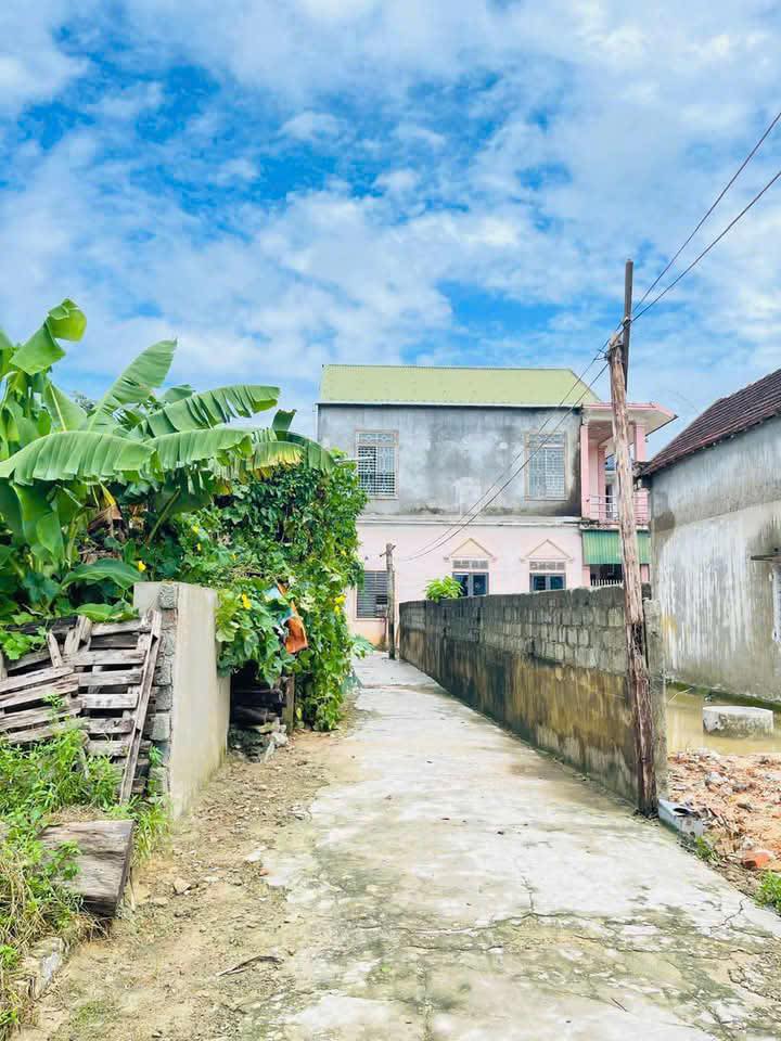 Đất nền Thạch Đài 130m² giá chỉ 820 triệu - Cơ hội đầu tư tuyệt vời!