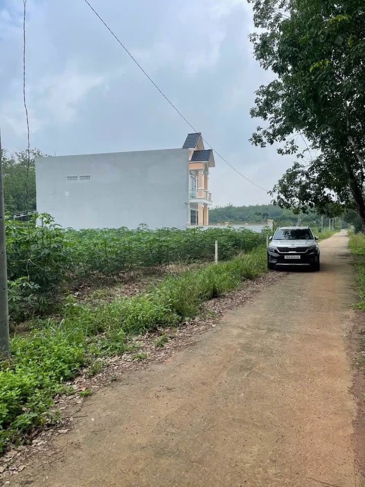 Đất thổ cư Minh Tân Dầu Tiếng 500m² giá 700 triệu - Gần chợ tiện lợi!