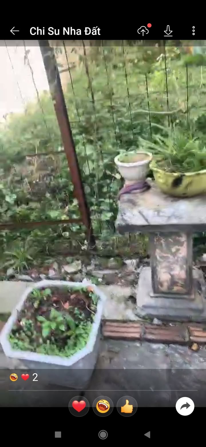 Lô đất tiềm năng tại Ngô Quyền, An Dương 75m² chỉ 999 triệu - Cơ hội đầu tư hấp dẫn!