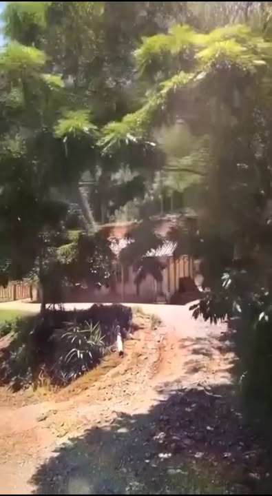 Trang trại 19.046m² tại xã Xuân Quang, Lào Cai - Cơ hội đầu tư hấp dẫn!