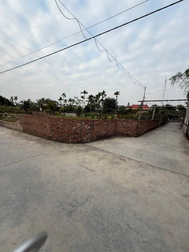 Đất nền Văn Xá - Quốc Tuấn - An Dương 537m² giá chỉ 7.526 tỷ - Cơ hội đầu tư tuyệt vời!