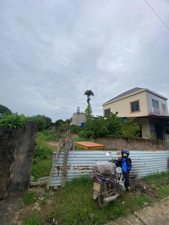 Đất thổ cư 250m² tại Hùng Sơn, Đại Từ - Giá chỉ 1.5 tỷ, cơ hội đầu tư tuyệt vời!