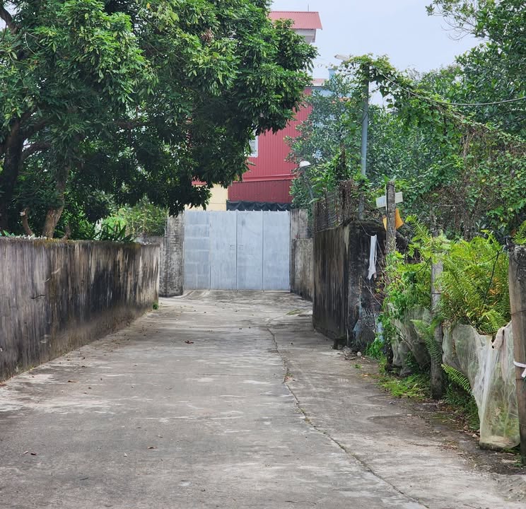 Đất nền 398m² mặt tiền 14m tại Tam Quang, Vũ Thư - Giá chỉ 1 tỷ!