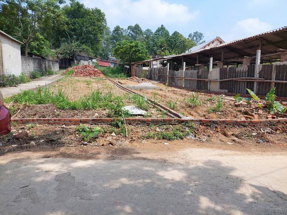 Lô đất thổ cư Hướng Đạo 110m² giá chỉ 1 tỷ - Cơ hội đầu tư tuyệt vời!