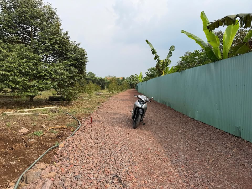 Đất nền Hàng Gòn Long Khánh 100m² giá 850 triệu - Đầu tư sinh lời ngay!