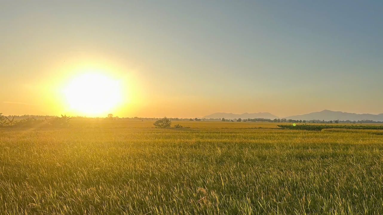 Đất nền Tịnh Biên An Giang 8000m² giá 600 triệu - Đầu tư sinh lời ngay!