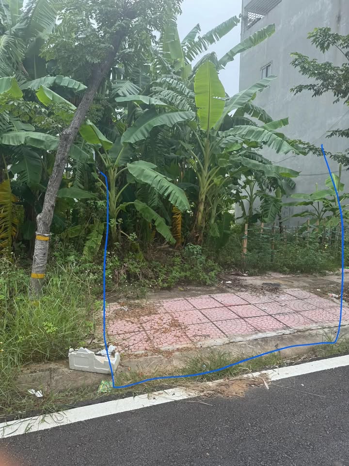 Đất Tân Ngọc - Bá Hiến, 50m² giá 1 tỷ - Pháp lý rõ ràng, đầu tư sinh lời!