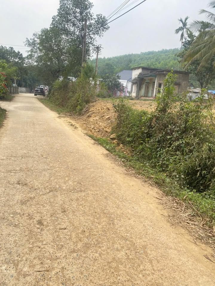 Đất nền Đồng Tâm Lạc Thủy 1000m² giá thỏa thuận - Tiềm năng đầu tư lớn!