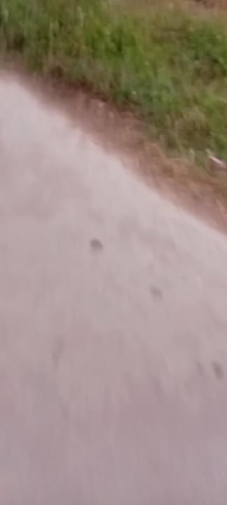 Đất nền Nam Thịnh, Tiền Hải 150m² giá 1.1 tỷ - Cơ hội đầu tư sinh lời!