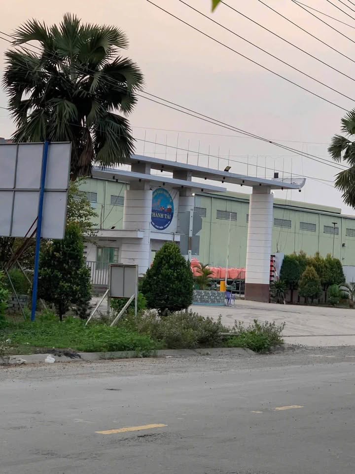 Đất nền thổ cư Nguyễn Trung Trực, Cần Đước, 345m² - Đầu tư sinh lời lý tưởng!