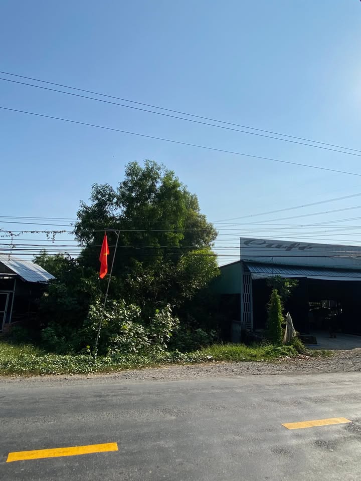 Lô đất mặt tiền đường 816, Bình Hòa Nam, 700m² giá chỉ 2.5 tỷ - Cơ hội đầu tư hấp dẫn!