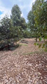 Đất nông nghiệp 9000m² tại Bảo Bình - Đồng Nai - Sổ đỏ chính chủ, trồng sầu riêng cho thu hoạch!