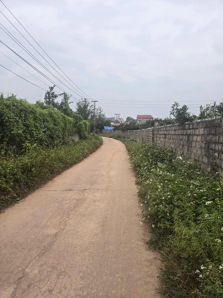 Đất nền Phương Chu Tân Yên 380m² giá 1 tỷ - Cơ hội đầu tư tốt!