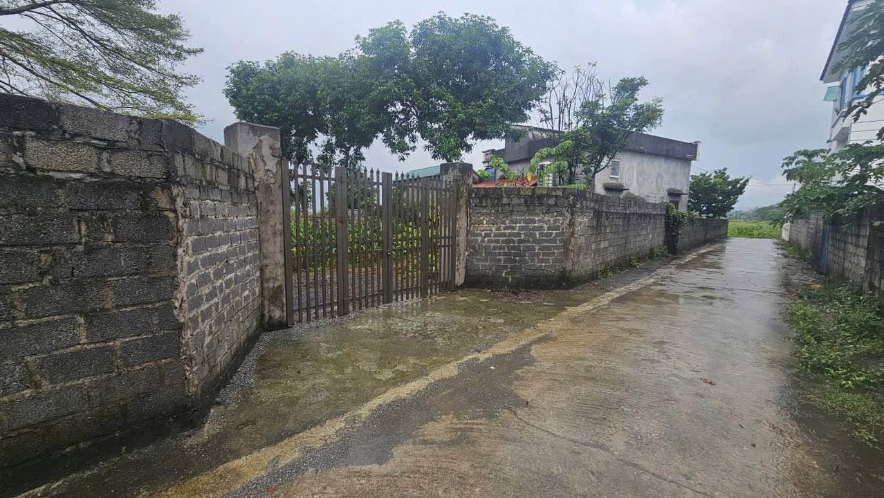 Đất nền Cư Yên Lương Sơn 1667m² - Vị trí đắc địa, giá thỏa thuận!