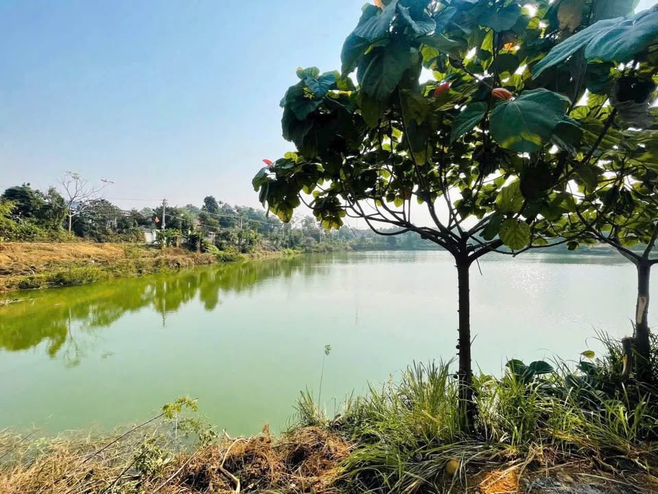 Đất nền Cư Yên Lương Sơn 215m² giá 2 tỷ - Cơ hội đầu tư hiếm có!