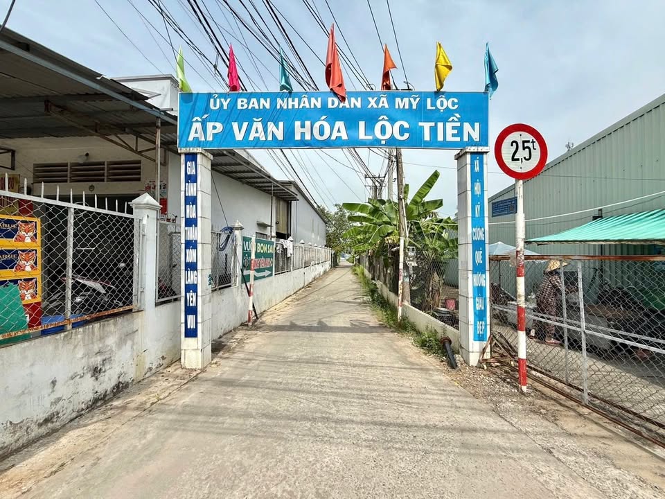 Lô đất Mỹ Lộc, Cần Giuộc 114m² giá 1 tỷ - Đầu tư sinh lời ngay!