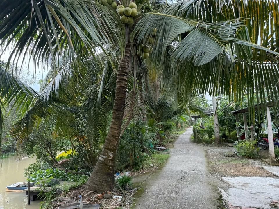 Đất nền Thới Lai 3994.9m² giá 840 triệu - Đầu tư sinh lời ngay!