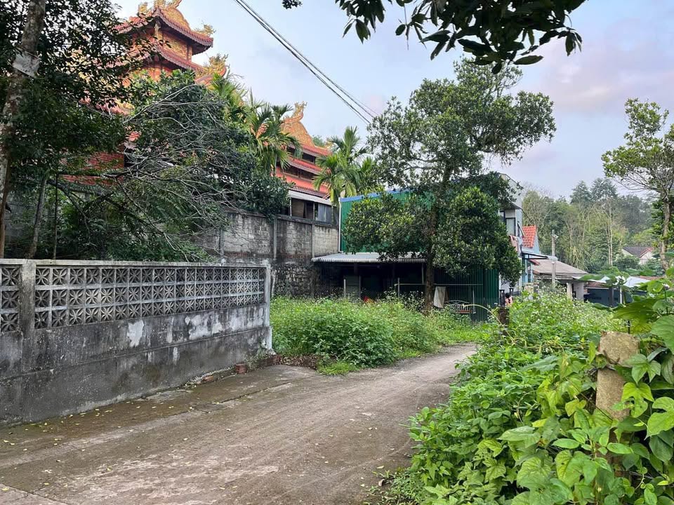 Đất kiệt ô tô Vũ Ngọc Phan 100m² giá 1.25 tỷ - Cơ hội đầu tư tuyệt vời!