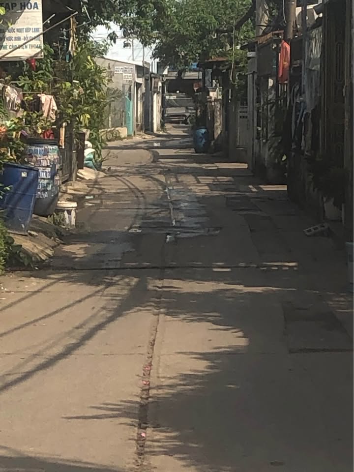 Đất Sổ Hồng 100m² tại Bình Chánh - Giá chỉ 2.8 tỷ, vị trí đẹp gần chợ