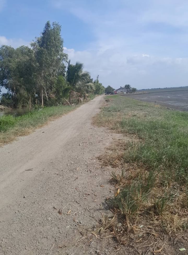 Đất nông nghiệp Tân Vọng Tri Tôn 350.000m² giá 4.55 tỷ - Cơ hội đầu tư hiếm có!