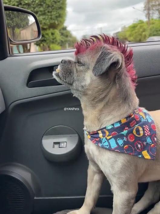 Nhà hẻm 3m phường 14, quận 6, 43.5m² giá 4.35 tỷ - Chính chủ bán nhanh!