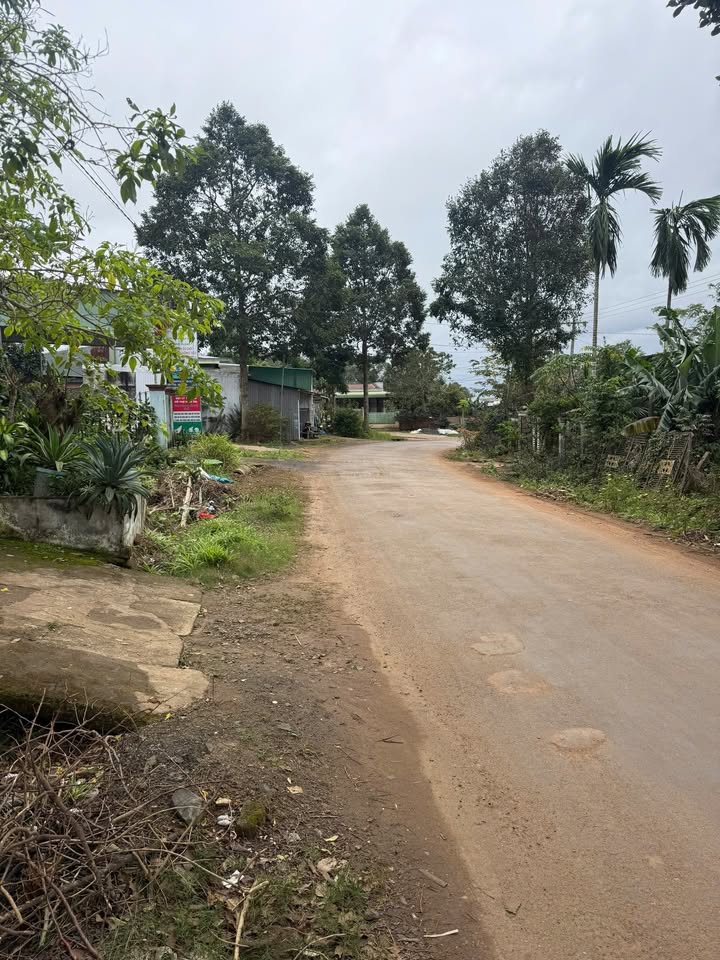 Đất nền Ea Kar 180m² giá 1.25 tỷ - Lô góc 2 mặt tiền, khu dân cư đông đúc!