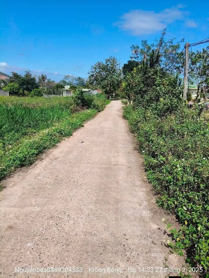 Đất thổ cư 175m² tại Ea Trul, Krông Bông - Giá chỉ 160 triệu VND!