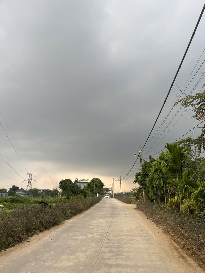 Đất nền Tân Long 98m² giá chỉ 1.1 tỷ - Vị trí đắc địa, xây nhà ngay!