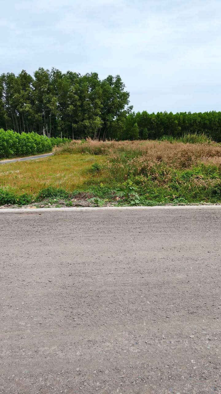 Đất nền Lộc An, Long Thành 125m² giá 700 triệu - Sổ đỏ chính chủ, sẵn sàng giao dịch!