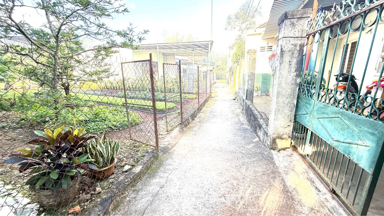 Nhà hẻm 372 Nguyễn Văn Cừ, Tân Lập, 44m² giá 1.55 tỷ - Khu dân cư đông đúc!