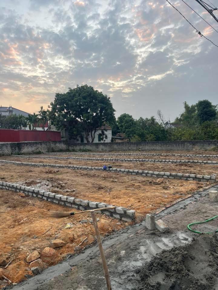 Đất nền tại Tổ dân phố Quỳnh Sơn, phường Tân An, 134m² - Cơ hội đầu tư tuyệt vời!