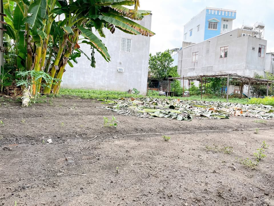 Đất trống 600m² Tân Mai Biên Hòa - Giá thuê chỉ 4 triệu/tháng!