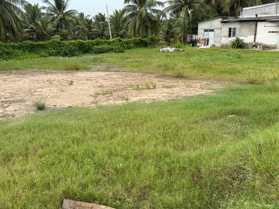 Đất mặt tiền 915B ấp Bà Trầm, xã Hưng Mỹ, 750m² giá 2.3 tỷ - Cơ hội đầu tư tuyệt vời!