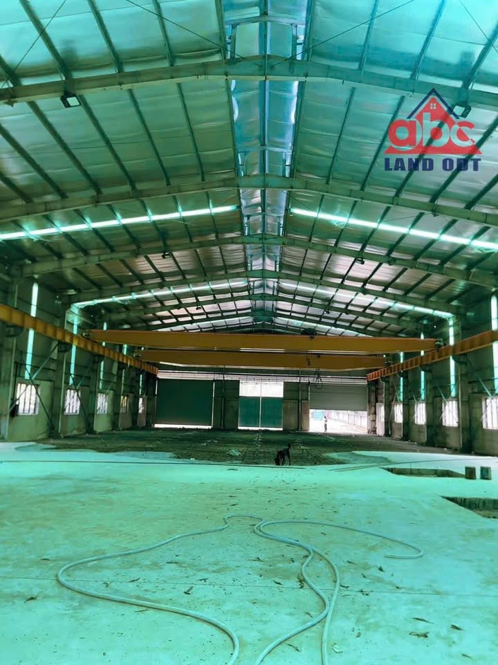 Nhà xưởng 3500m² xã An Viễn, Trảng Bom - Đầu tư sinh lời tốt!