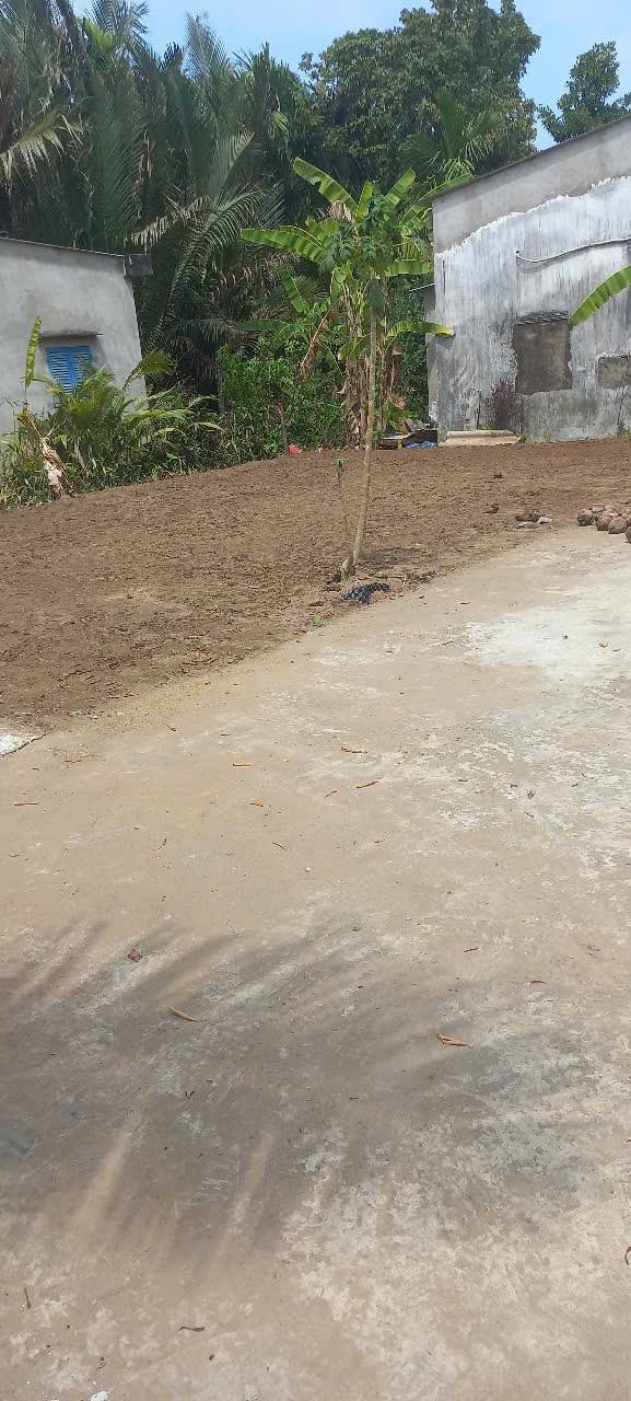 Đất nền Tam Phước, Châu Thành, Bến Tre 100m² giá 380 triệu - Vị trí đẹp, pháp lý rõ ràng!