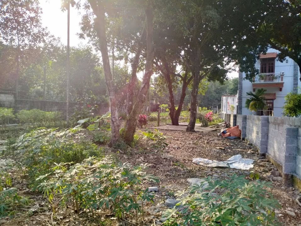 Đất lô góc 678m² tại xã Suối Hai, Ba Vì - Giá chỉ 2,8 tỷ VND!