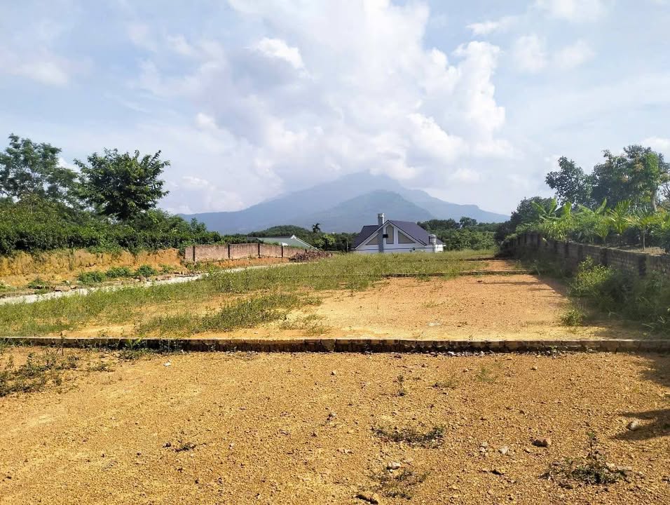 Đất nghỉ dưỡng Ba Vì 250m² giá 1.753 tỷ - Nơi an yên giữa thiên nhiên!