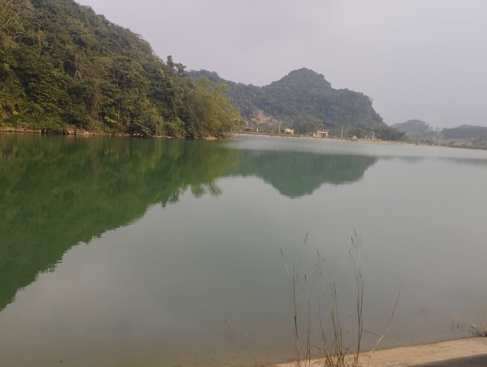 Lô đất trồng cây lâu năm 2.200m² tại Phú Long, Nho Quan - Tiềm năng đầu tư lớn!