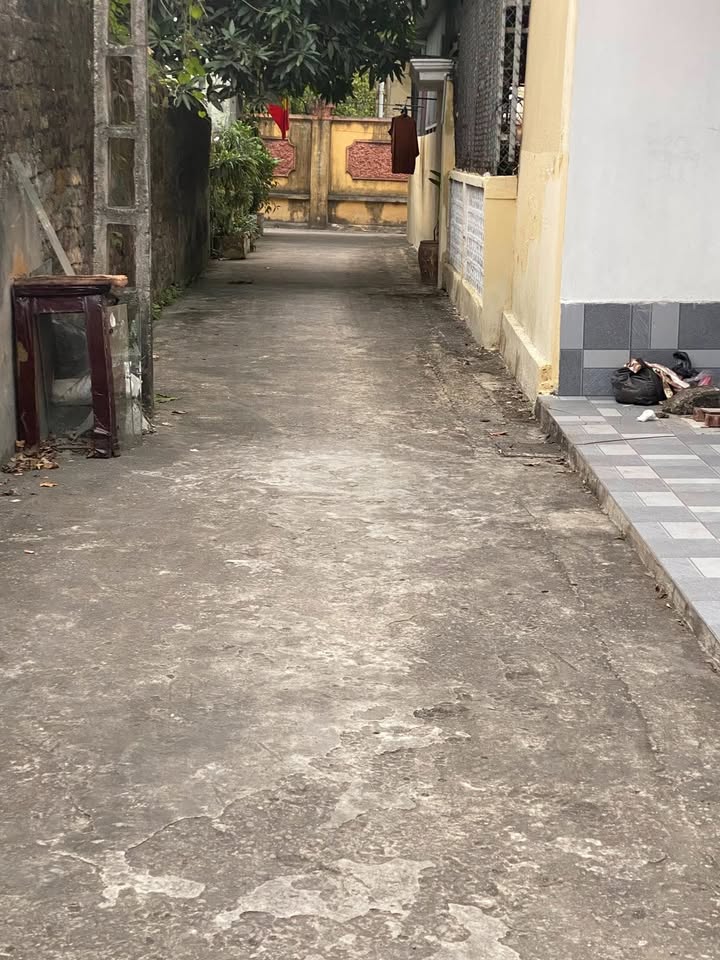 Lô đất Phúc Thịnh Bích Đào 78.4m² giá thỏa thuận - Chính chủ bán gấp!