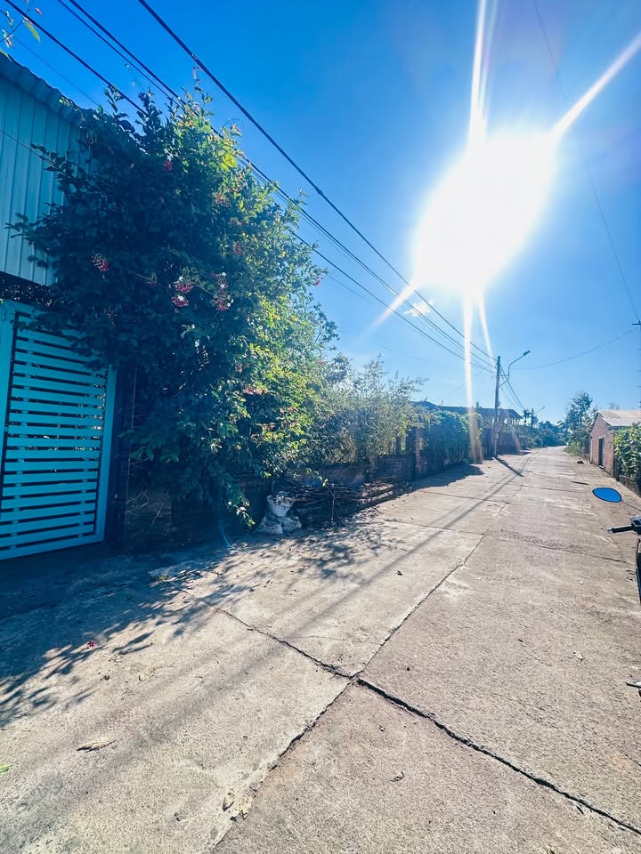 Đất nền Phú Hòa, Chư Păh 320m² giá chỉ 600 triệu - Cơ hội đầu tư hấp dẫn!