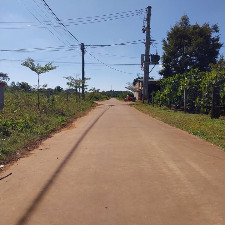 Đất nền Hẻm 104 Trần Văn Ơn, xã Ia Hrung, 151.2m² - Giá tốt cho đầu tư!