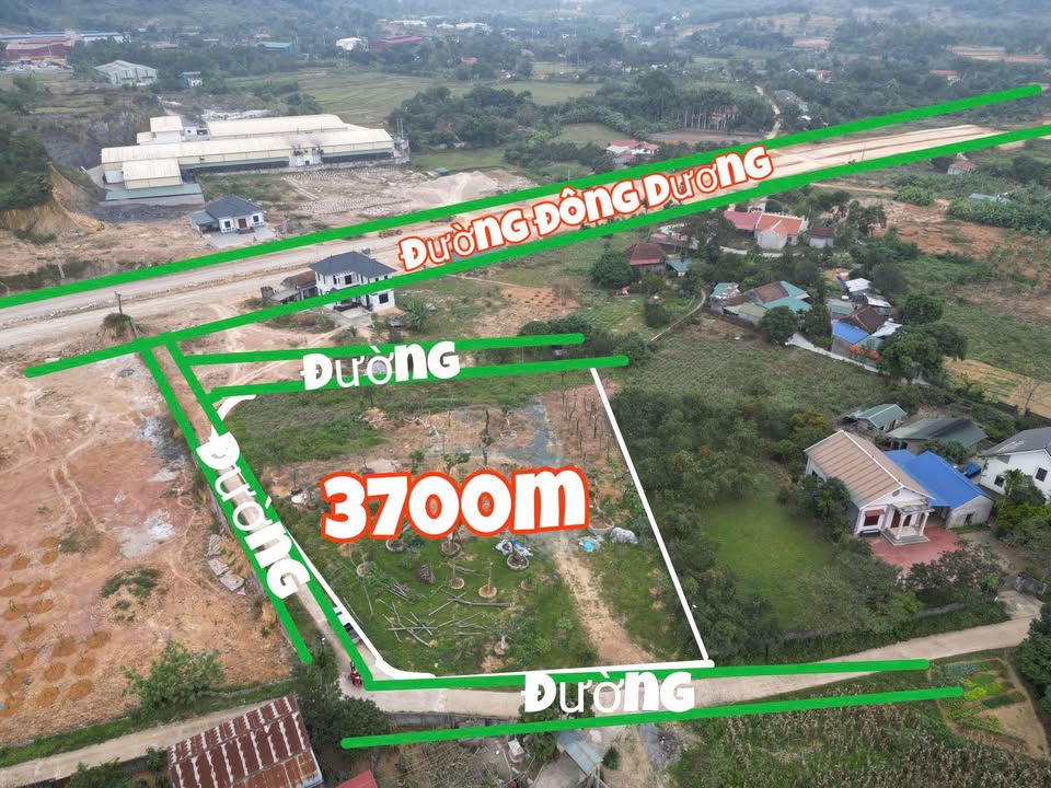 Đất góc 3.700m² tại Bùi Trám, Hòa Sơn - Tiềm năng đầu tư cao chỉ 27.75 tỷ!